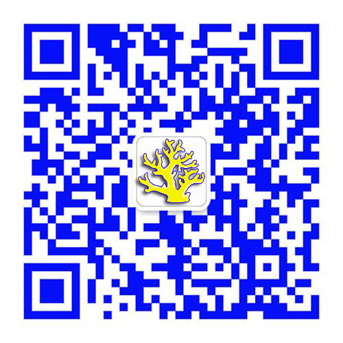 开云 开云体育APP杭州金珊企业管理咨询有限公司(图2)